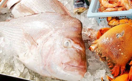 If it’s seafood you like, then it’s seafood you’ll get today and tomorrow at Tin Can Bay’s Seafood Festival. If it’s seafood you like, then it’s seafood you’ll get today and tomorrow at Tin Can Bay’s Seafood Festival.